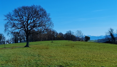 terrain constructible 3 ha + 4 ha bois