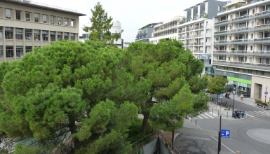 Appartement 2 pièces 40 m2 Boulogne Centre Ville