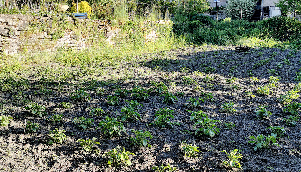 Jardin