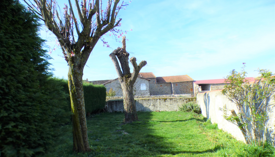 Jardin