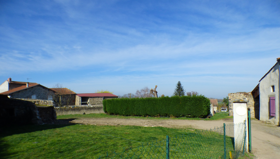 Jardin