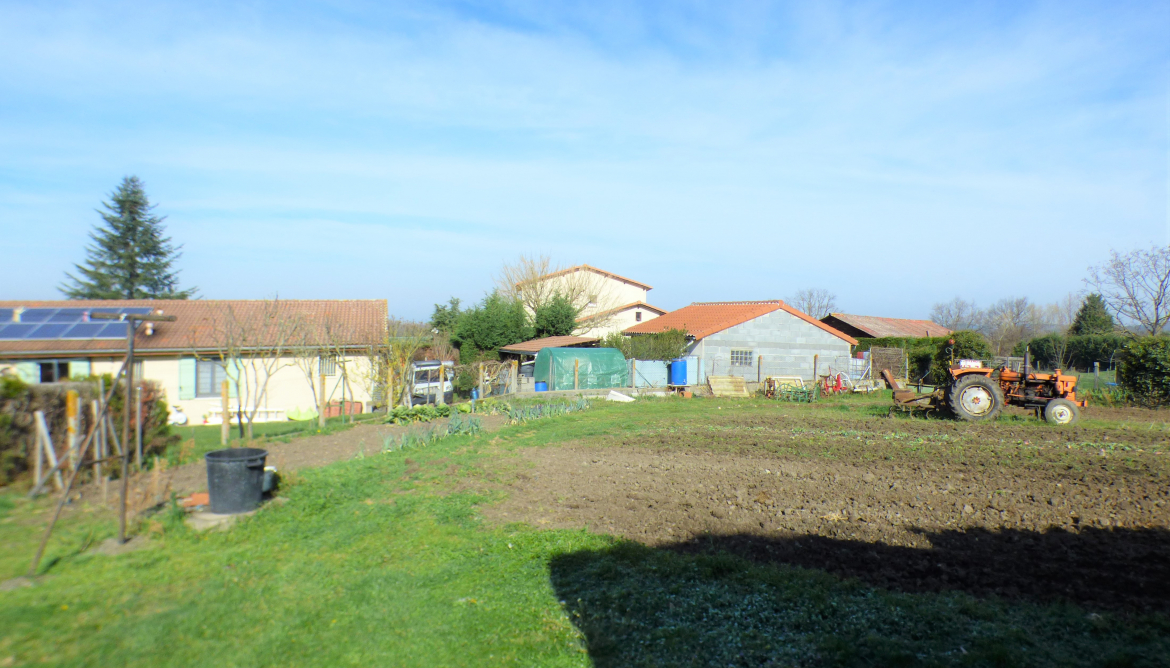 Potager