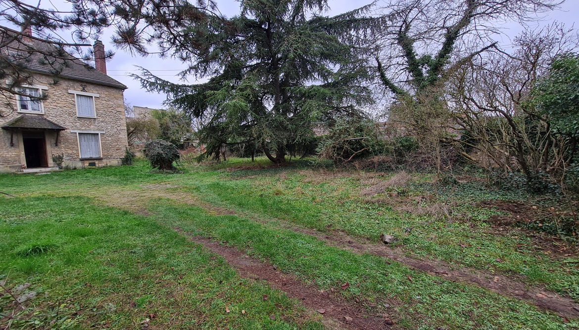 Jardin