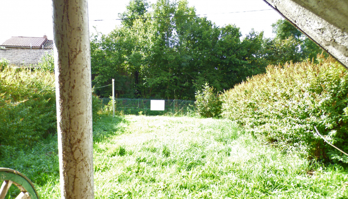 Jardin