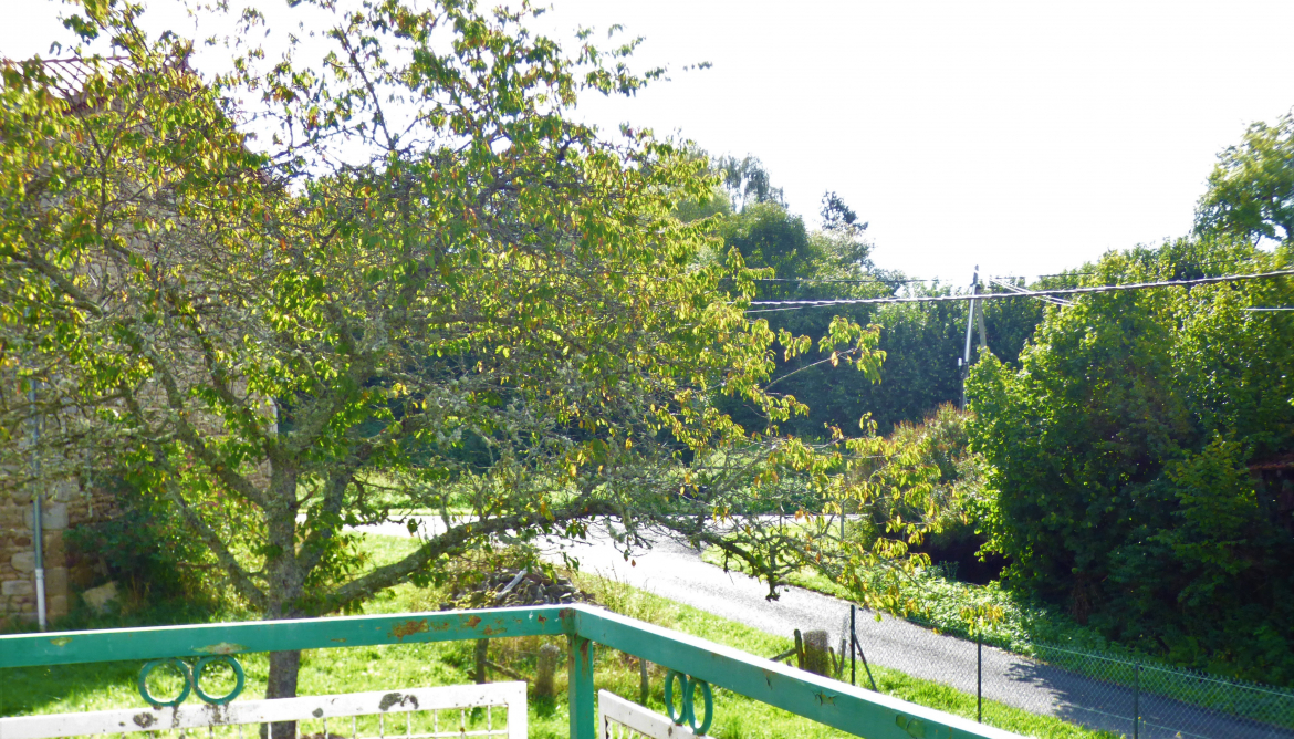 Jardin