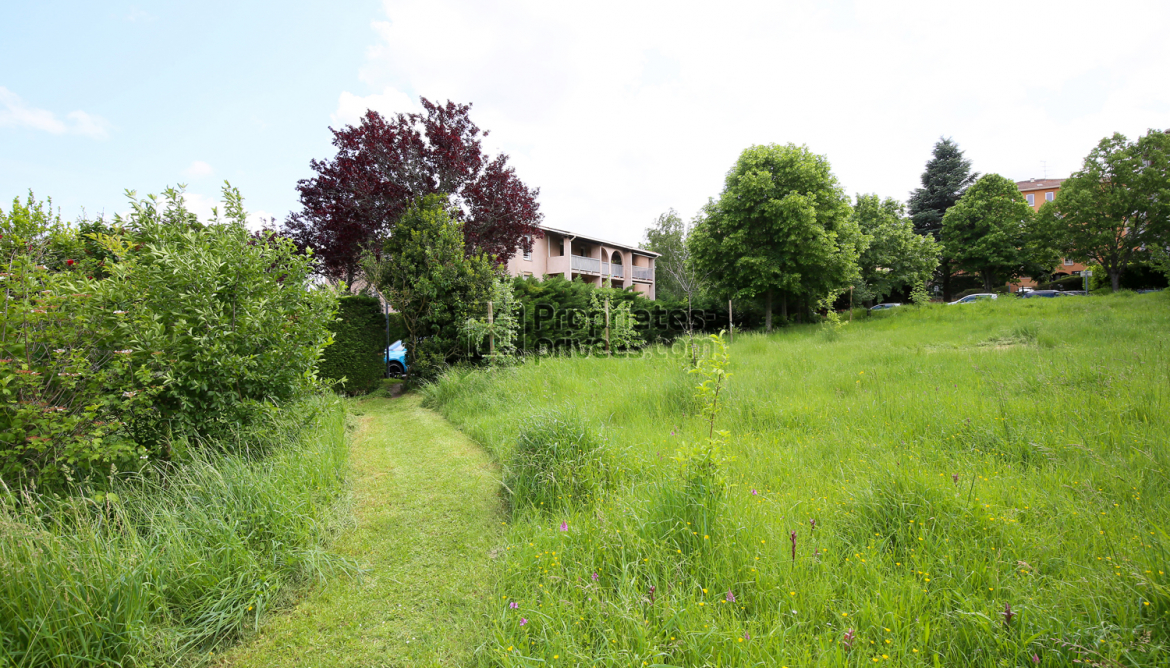 Jardin