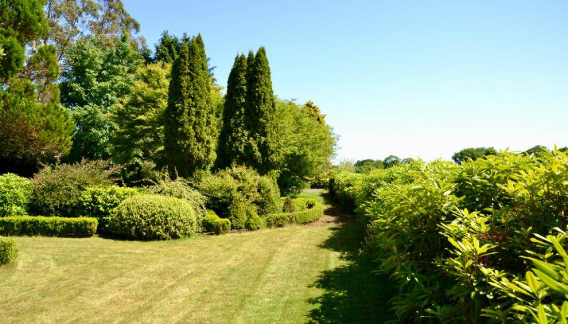 Jardin