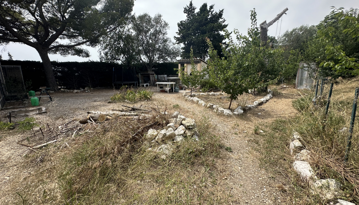 Jardin