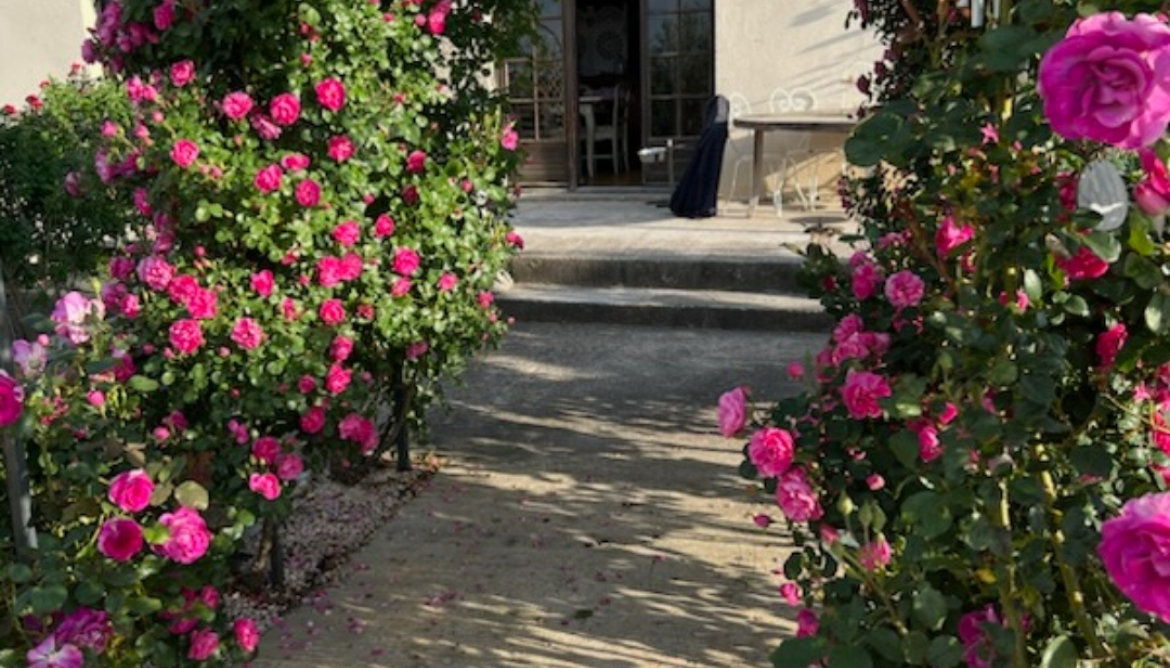 Jardin