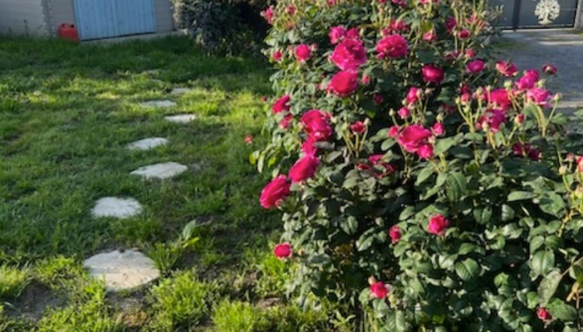 Jardin