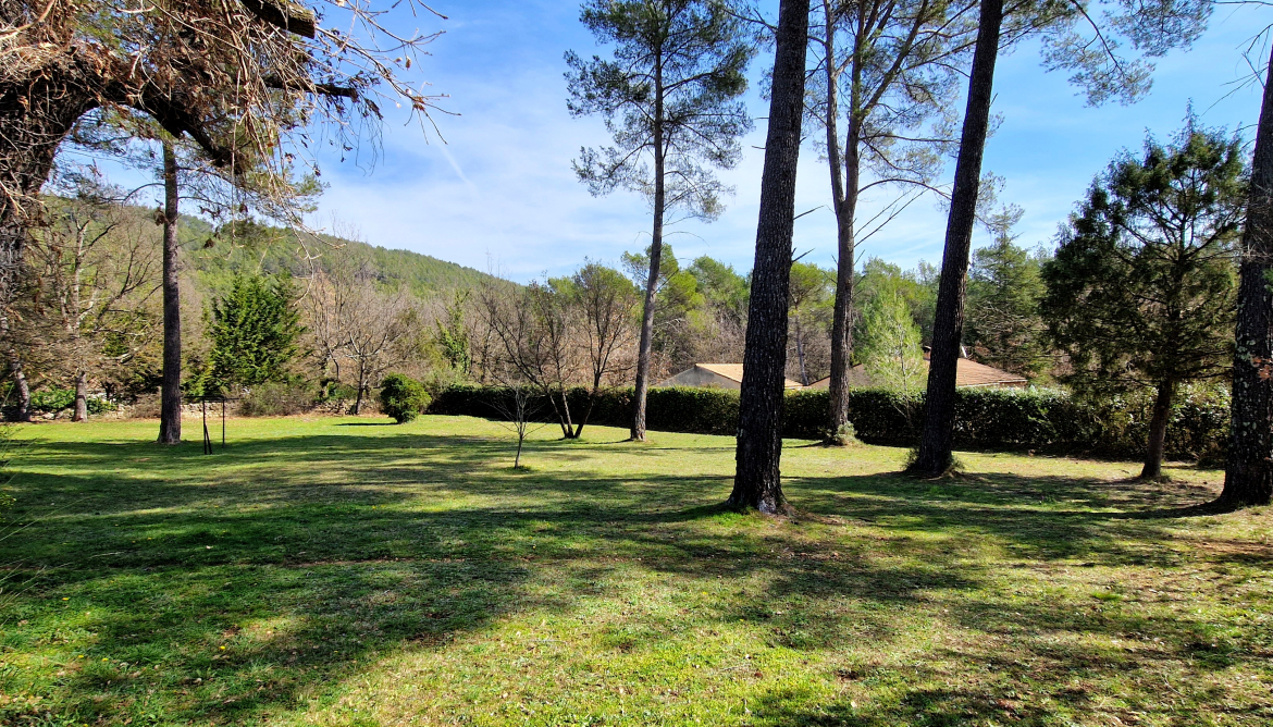 Jardin