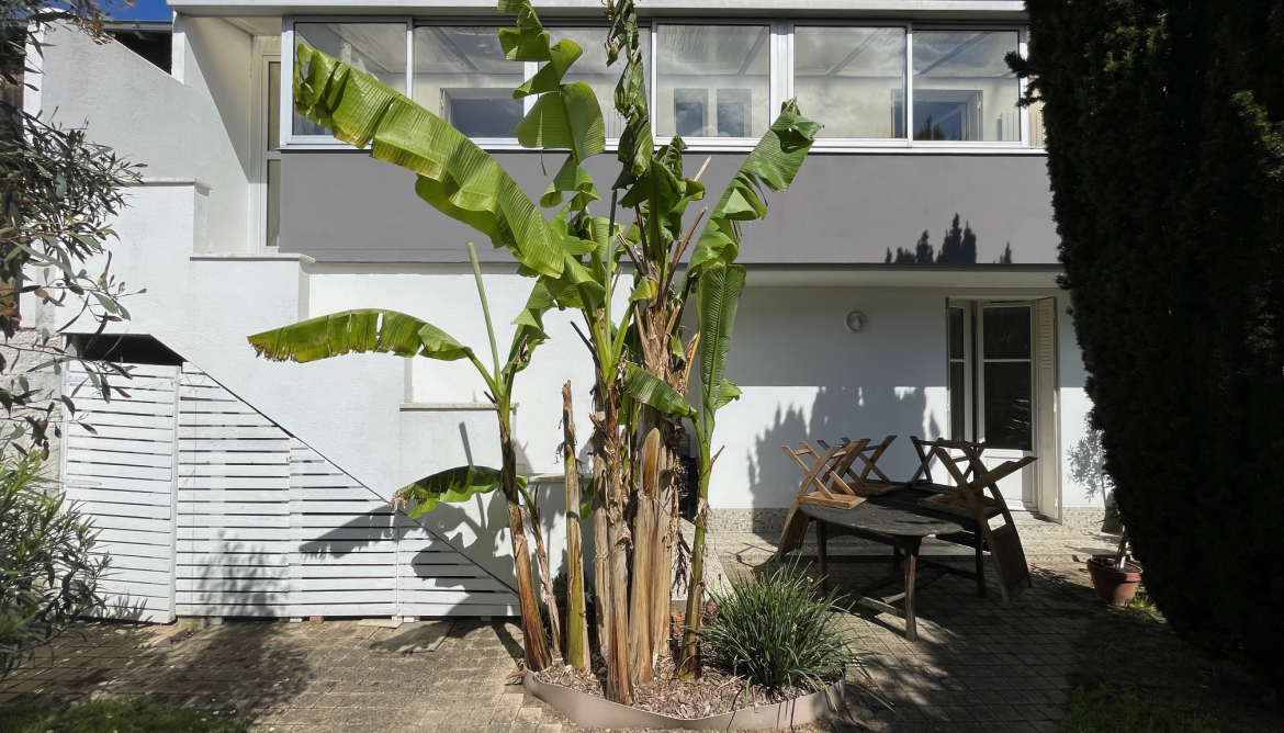 Jardin