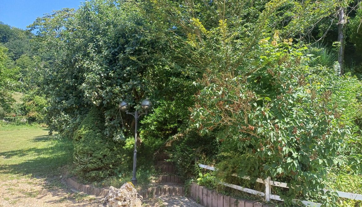 Vue exterieur