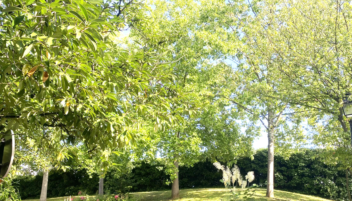 Vue exterieur