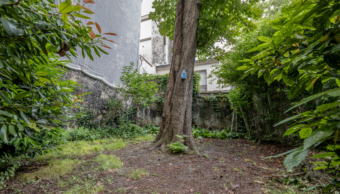 Jardin