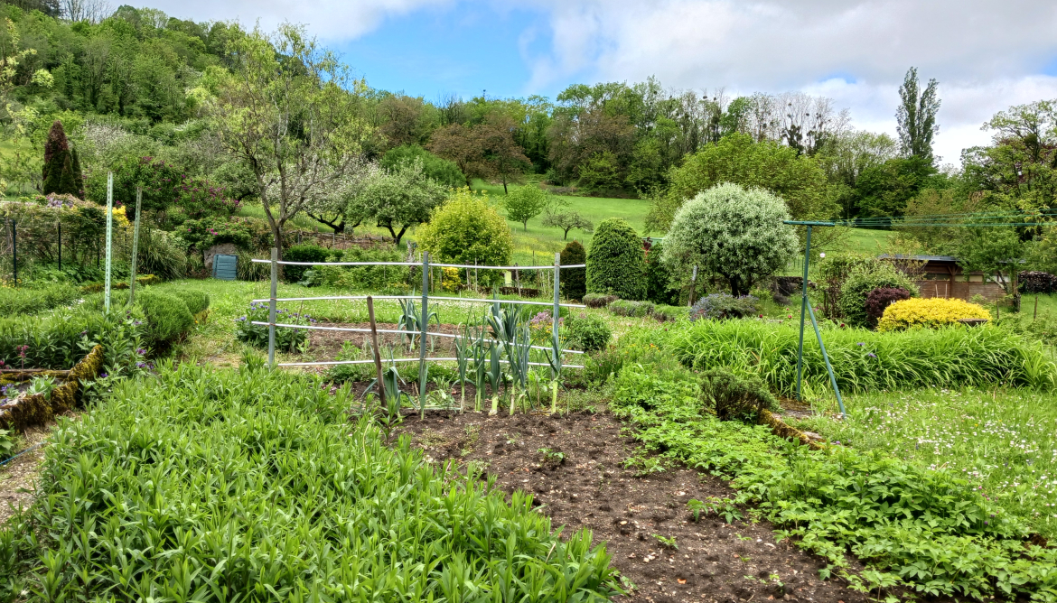 Jardin