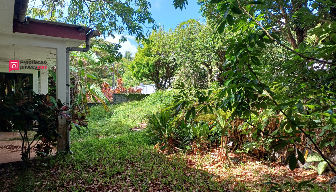 Jardin