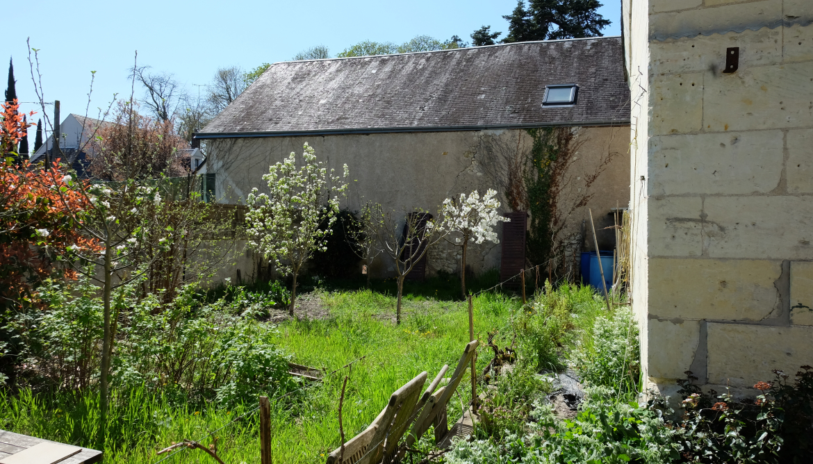 Jardin