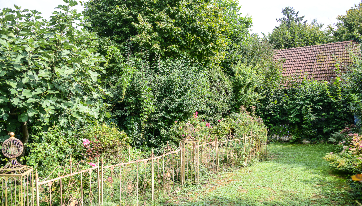 Jardin