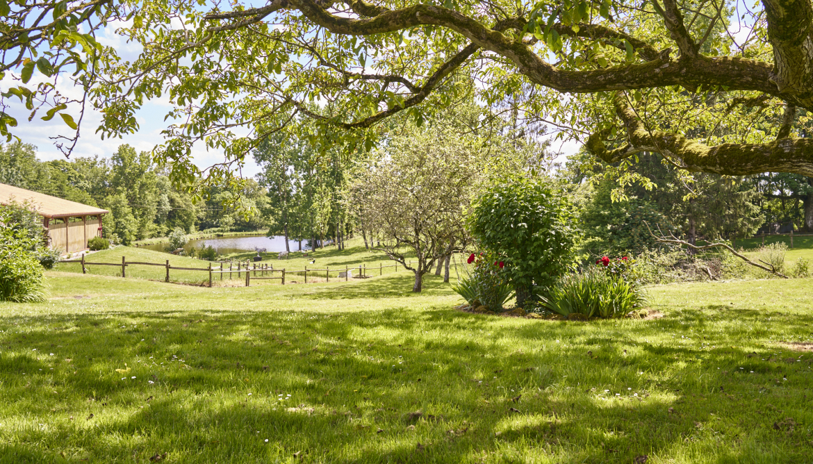 Jardin